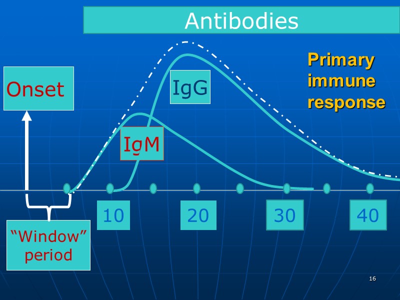 Primary  immune response Onset  10 “Window” period 20 IgG IgM Antibodies 30